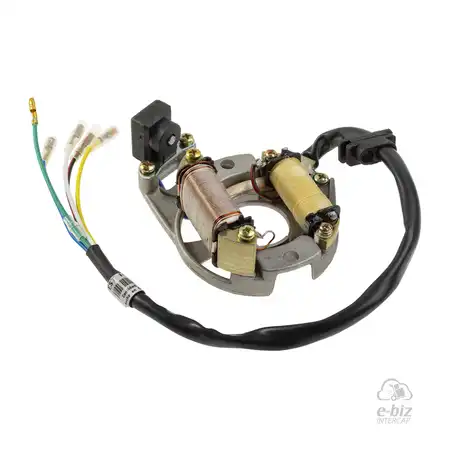 10117 CONJUNTO PLAQUETA ENCENDIDO DZE COMPLETO DE 2 PUNTAS BOBINA LUZ BOBINA ALIM C/SENSOR