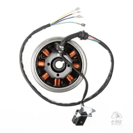 10239 KIT VOLANTE MAGNETICO DZE C/ESTATOR ZANELLA RX 150/MOTOMEL SKUA 150/MOTOMEL CG 150 S1