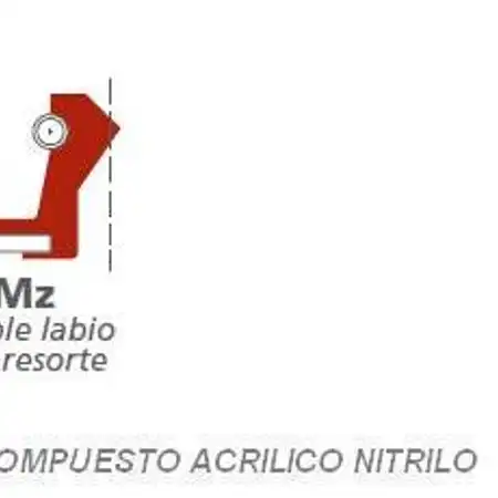 20x31x7 NBR MZ BANCADA HONDA LEAD NH 80 