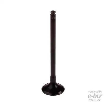 3953-EBN VALVULA ESCAPE BBB HONDA TWISTER 250