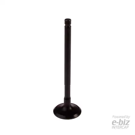 4249-EN VALVULA ESCAPE BBB MONDIAL 125 / 150