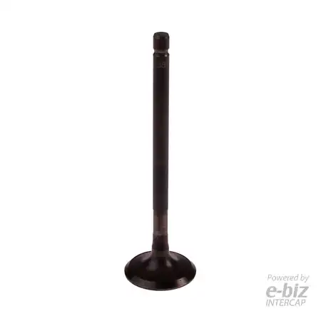 4329-EBN VALVULA ESCAPE BBB YAMAHA FZ16