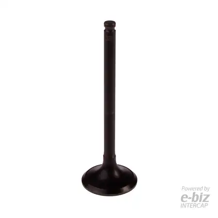 4393-EBN VALVULA ESCAPE YAMAHA BBB TDM 900