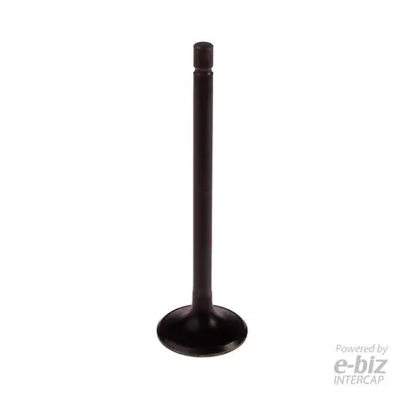 4437-EBN VALVULA ESCAPE BBB MOTARD 200 / DAKAR 200