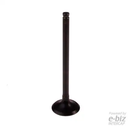 4543-EBN VALVULA ESCAPE BBB HONDA XR 125/CBF 125 / GOLDWING 1800