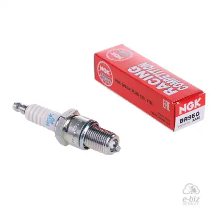 BUJIA NGK JAPON BR9EG