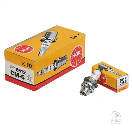 BUJIA NGK JAPON CM-6