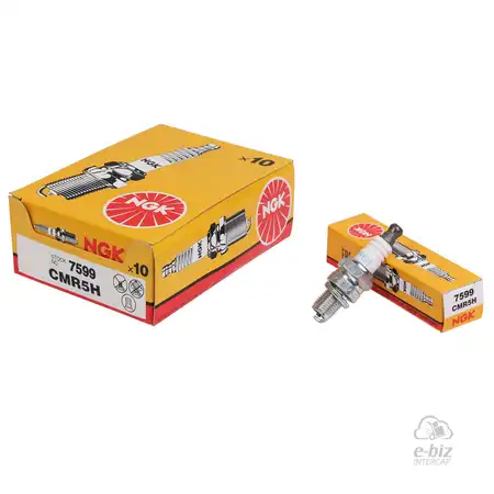 BUJIA NGK JAPON CMR5H