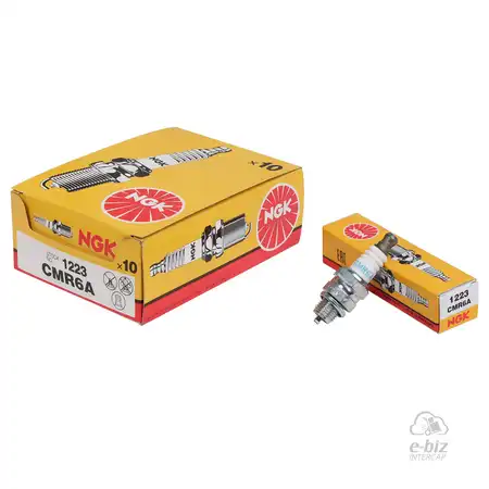 BUJIA NGK JAPON CMR6A