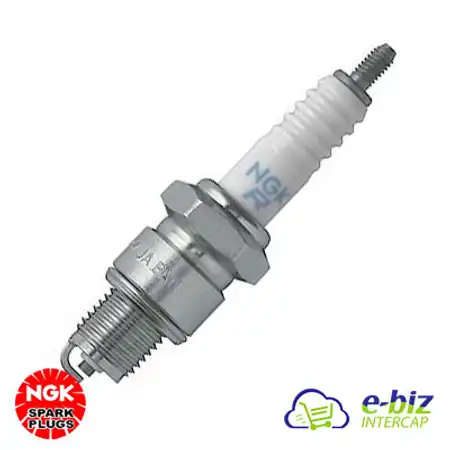 BUJIA NGK JAPON DR8HS