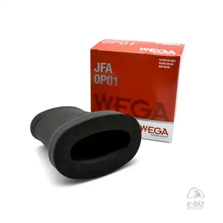 FILTRO DE AIRE WEGA BENELLI TNT 250