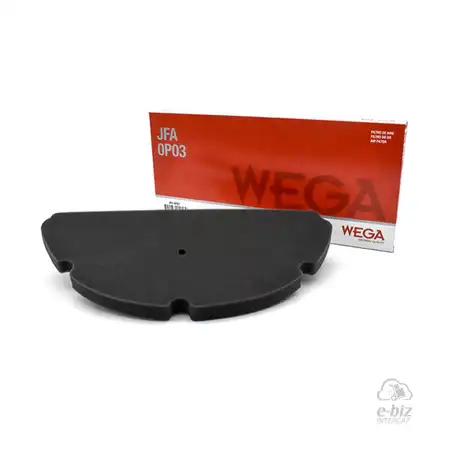 FILTRO DE AIRE WEGA BENELLI TNT 300