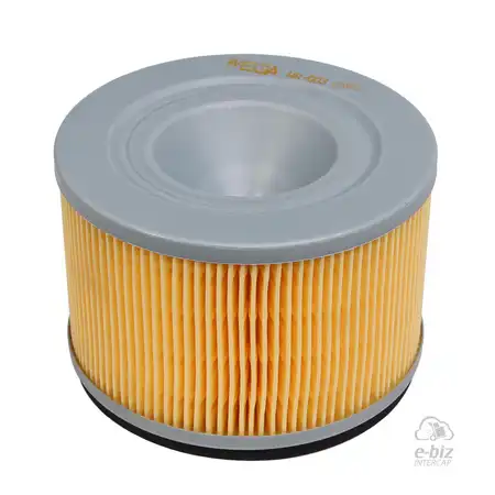 FILTRO DE AIRE WEGA HONDA STORM 125 (WR-003)